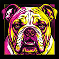 Pop-Art Screenprint English Bulldog T Shirt - Premium Unisex Retro Tee